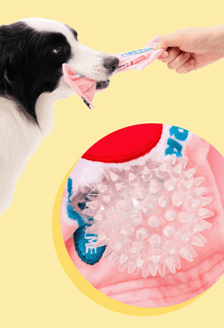 Bite Me Crunchy Candy Ball Dog Toy