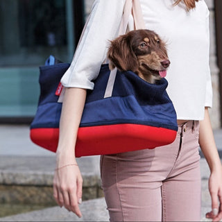Ibiyaya Lightweight Tote Pet Carrier with Hardshell Base