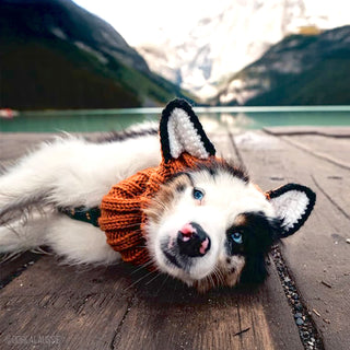 Zoo Snoods Fox Snood - Henlo Pets