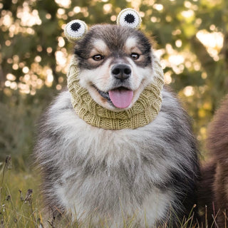Zoo Snoods Frog Snood - Henlo Pets