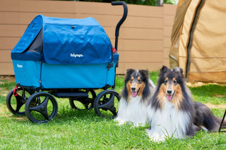 Ibiyaya Noah All Around Pet Beach Wagon up to 50kg - Pacific Blue - Henlo Pets