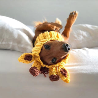 Zoo Snoods Giraffe Snood - Henlo Pets