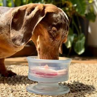 Lunoji CHEWDEN Trove Glacier Ice Frozen Treat Cup (Limited Edition) | Henlo Pets