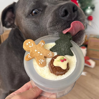 Lunoji CHEWDEN Trove Glacier Ice Frozen Treat Cup (Limited Edition) | Henlo Pets