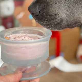 Lunoji CHEWDEN Trove Glacier Ice Frozen Treat Cup (Limited Edition) | Henlo Pets