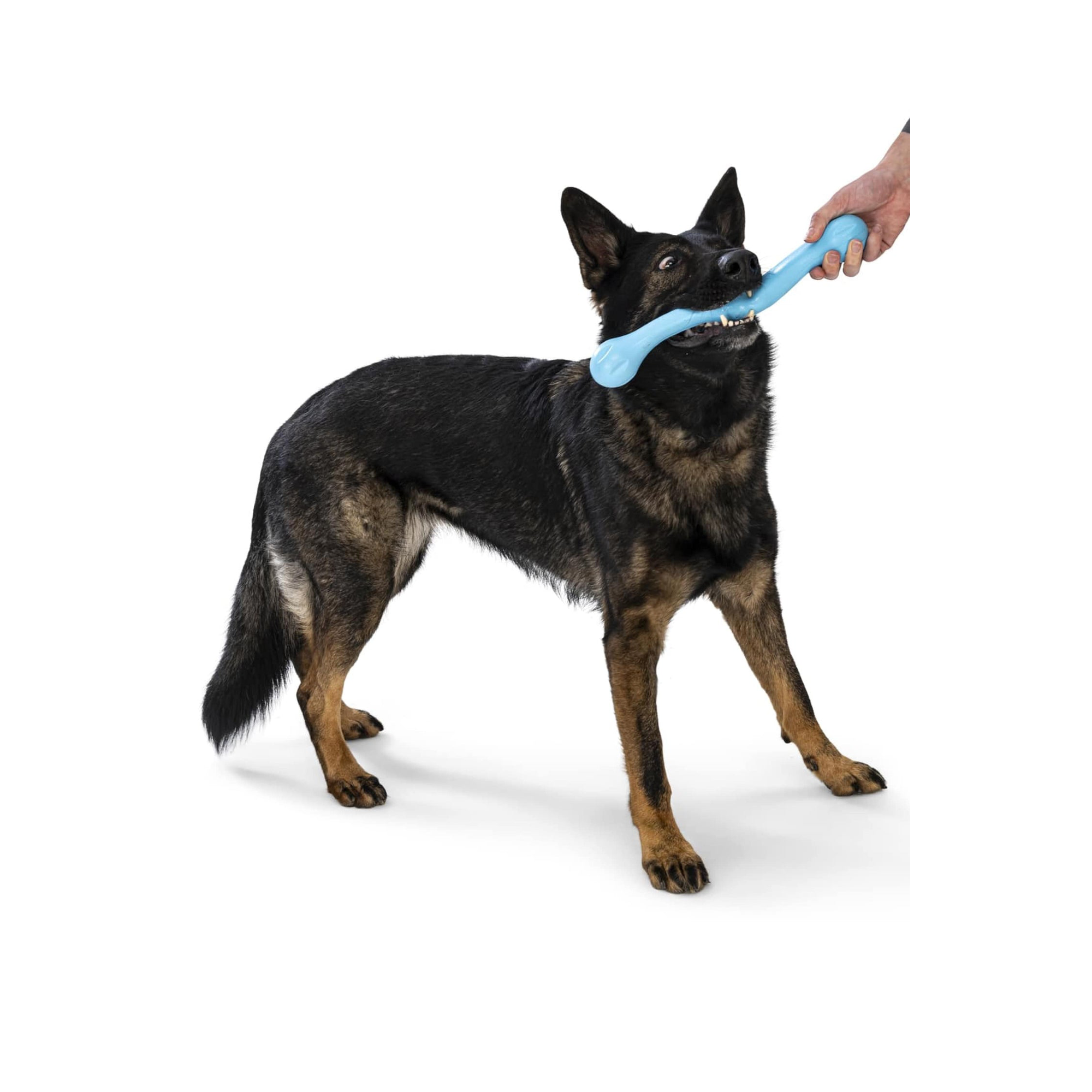 West Paw - Skamp Fetch Dog Toy - Henlo Pets