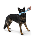 West Paw - Skamp Fetch Dog Toy - Henlo Pets