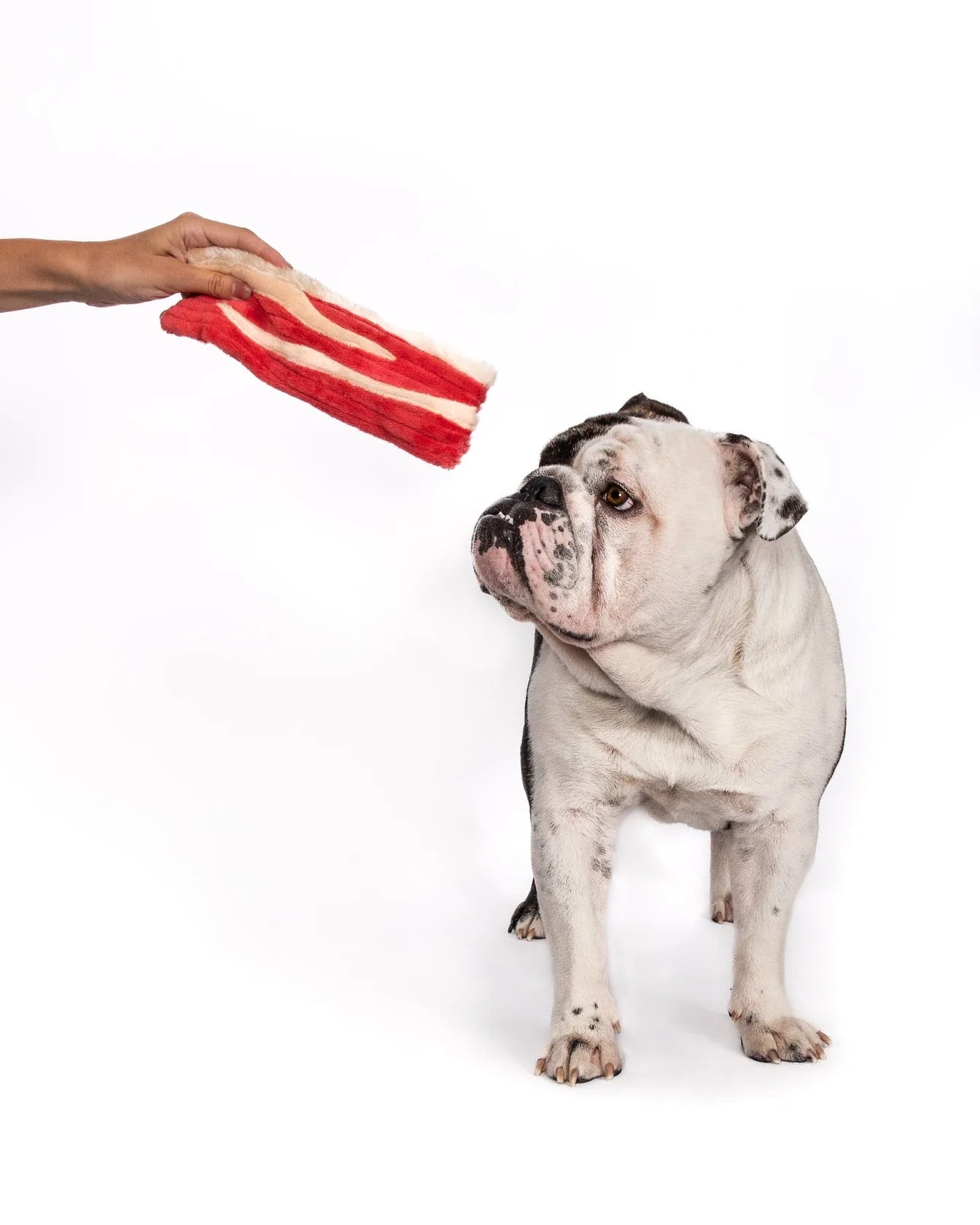 Fabdog Bacon Dog Toy - Henlo Pets