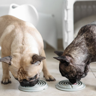 Lunoji Twirl Lick Mat Slow Feeder | Henlo Pets