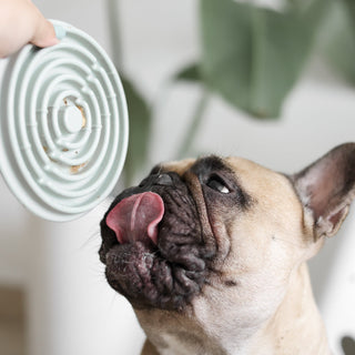 Lunoji Twirl Lick Mat Slow Feeder | Henlo Pets