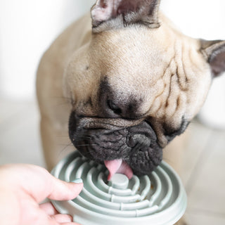 Lunoji Twirl Lick Mat Slow Feeder | Henlo Pets