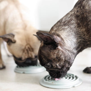 Lunoji Twirl Lick Mat Slow Feeder | Henlo Pets