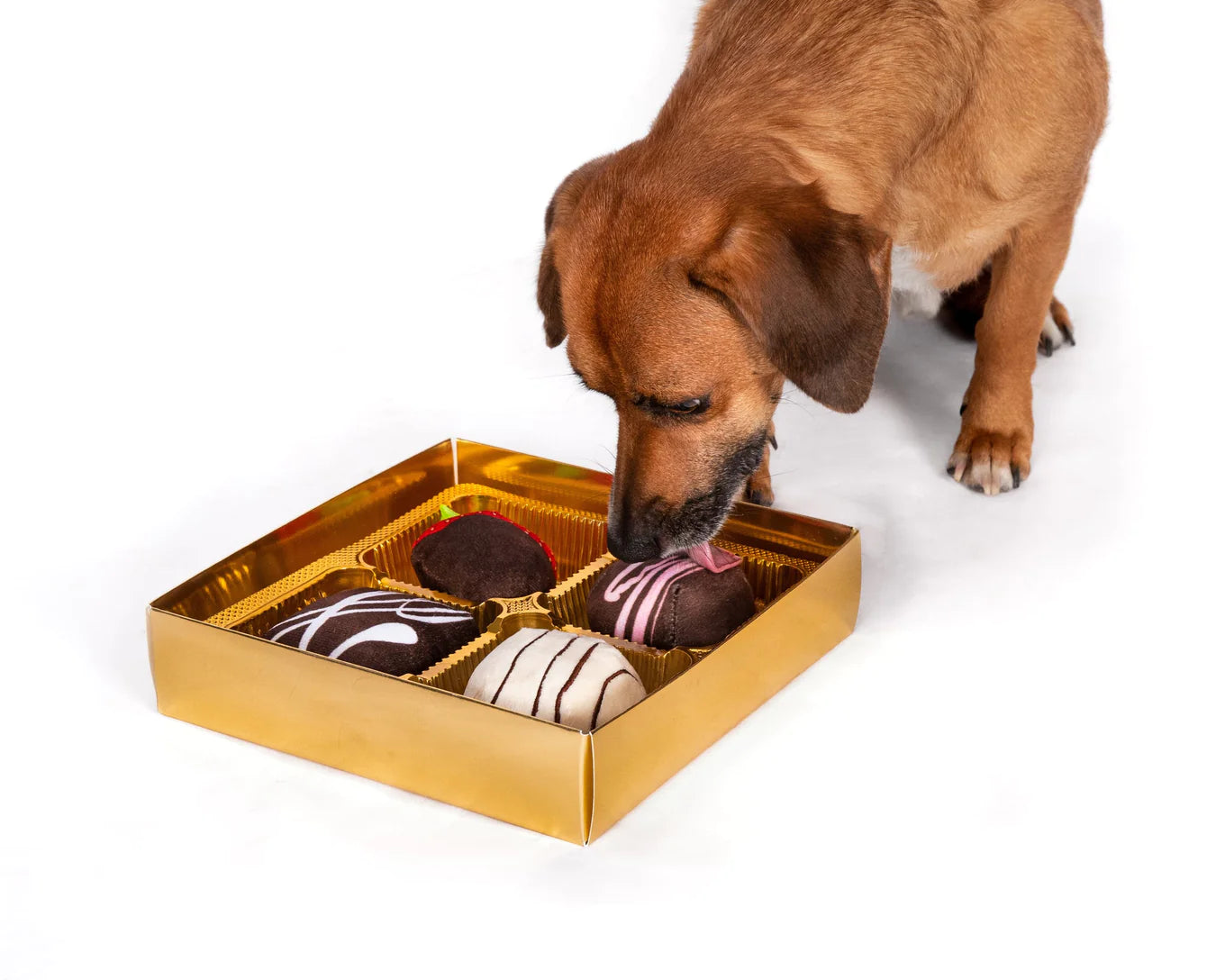 Fabdog Dogiva Box of Chocolates Dog Toy
