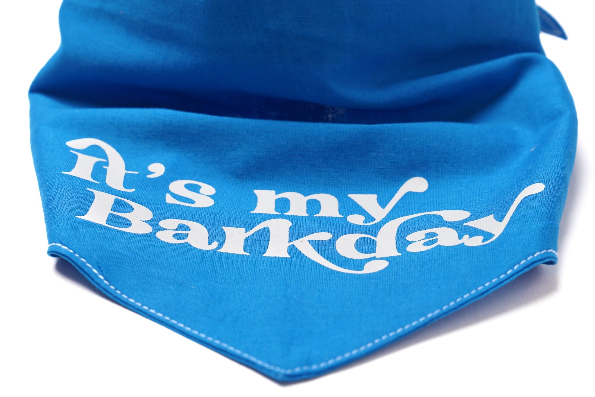 The Paws Barkday Bandana - Blue