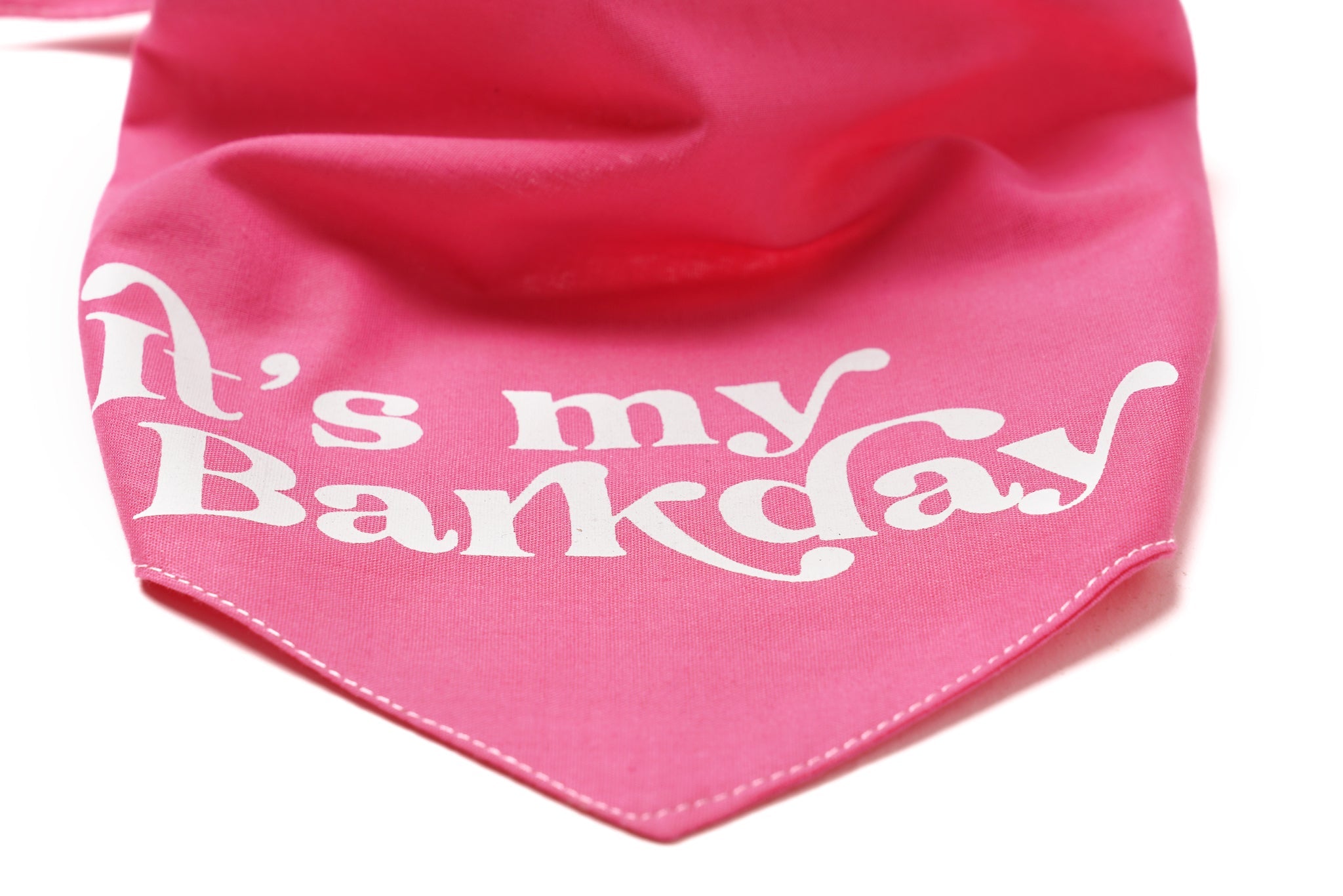 The Paws Barkday Bandana - Pink
