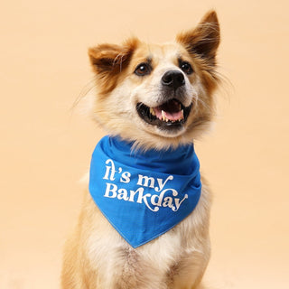 The Paws Barkday Bandana - Blue - Henlo Pets