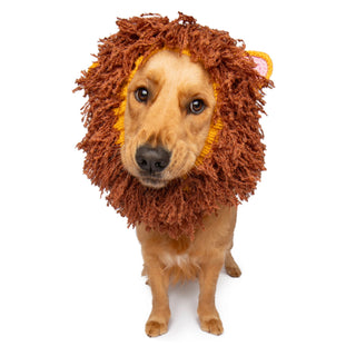 Zoo Snoods Lion Snood - Henlo Pets