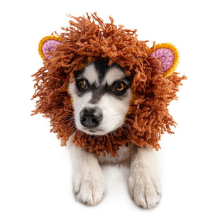 Zoo Snoods Lion Snood - Henlo Pets