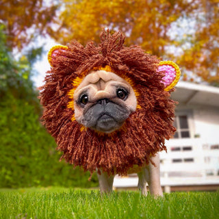 Zoo Snoods Lion Snood - Henlo Pets