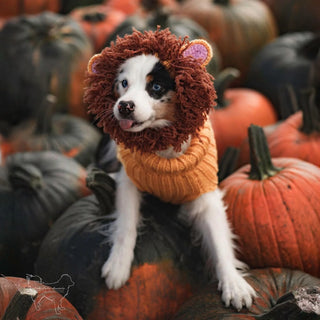 Zoo Snoods Lion Snood - Henlo Pets