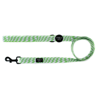 Pablo & Co Lime Check Check Dog Leash