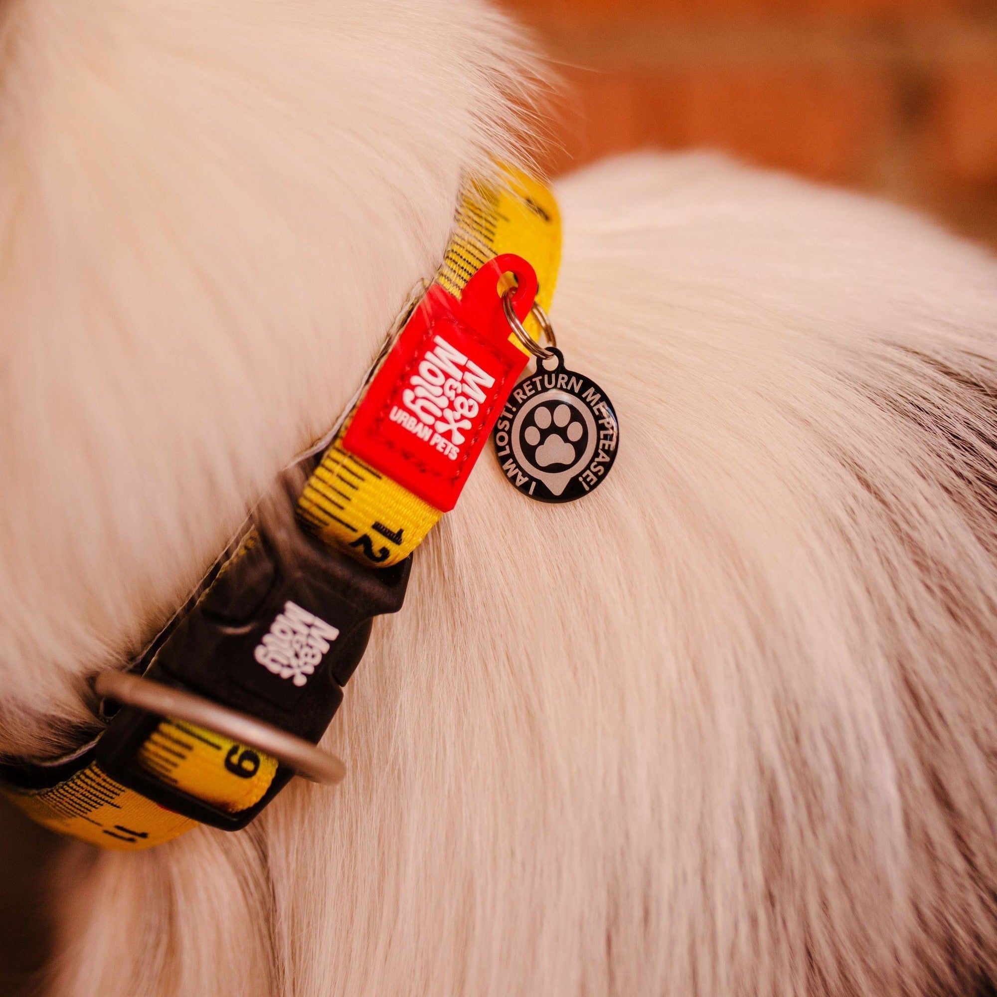 Max &amp; Molly - Ruler Smart ID Collar