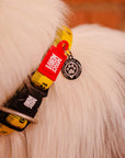 Max & Molly - Ruler Smart ID Collar