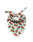 The Paws - Melon Bandana