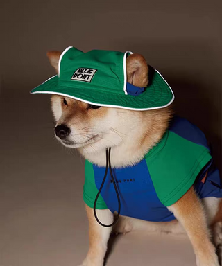 Blueport UPF 50+ UV Protection Bucket Hat - Henlo Pets