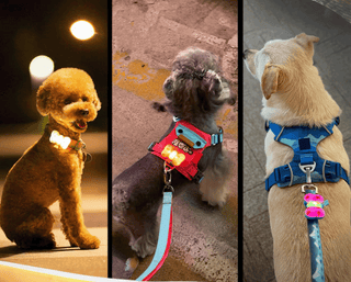 Laroo Glow Pup Bow Tie Blinker LED Safety Light | Henlo Pets