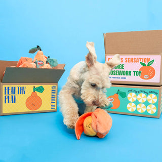 the furryfolks Orange Nosework Dog Toy - Henlo Pets