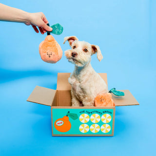 the furryfolks Orange Nosework Dog Toy - Henlo Pets
