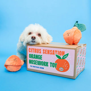 the furryfolks Orange Nosework Dog Toy - Henlo Pets