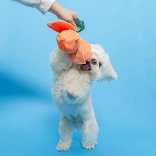the furryfolks Orange Nosework Dog Toy - Henlo Pets