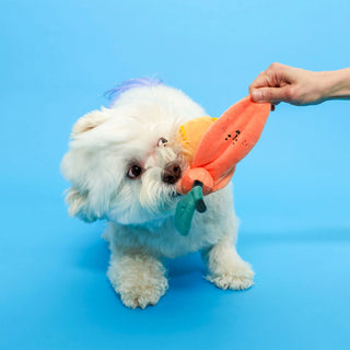 the furryfolks Orange Nosework Dog Toy - Henlo Pets