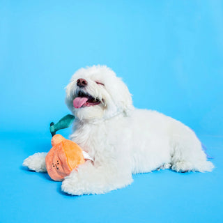 the furryfolks Orange Nosework Dog Toy - Henlo Pets