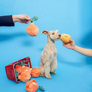the furryfolks Orange Nosework Dog Toy - Henlo Pets
