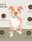 Natural Dog Company - PawTection Stick - Henlo Pets