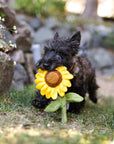 P.L.A.Y. Blooming Buddies Sassy Sunflower Plush Dog Toy - Henlo Pets