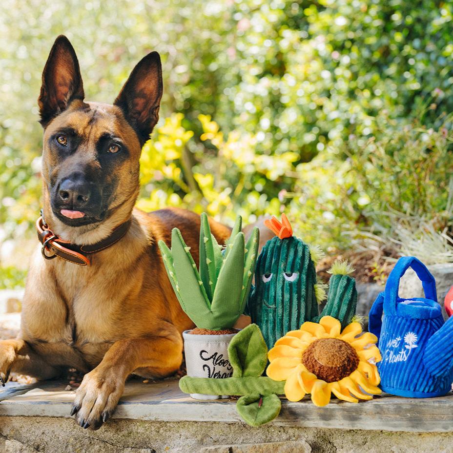 P.L.A.Y. Blooming Buddies Plush Dog Toy Collection - Henlo Pets