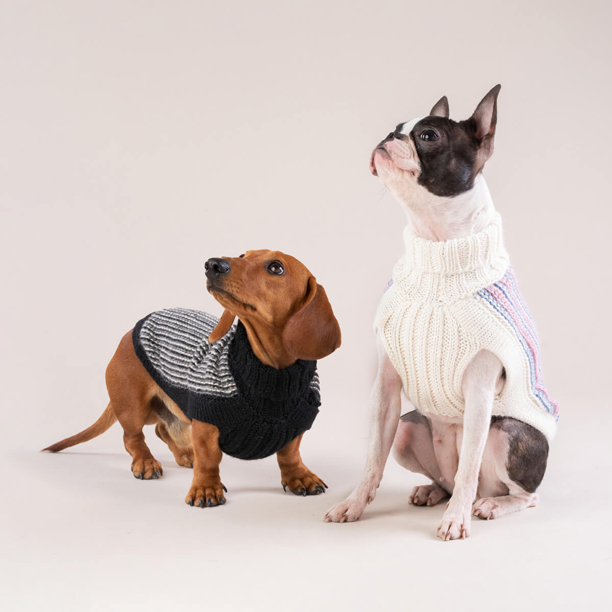 Alqo Wasi - Popcorn Black Alpaca Dog Sweater - Henlo Pets