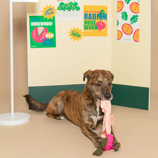 the furryfolks Radish Nosework Dog Toy - Henlo Pets