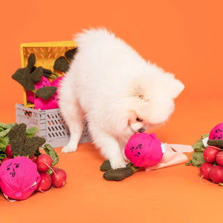 the furryfolks Radish Nosework Dog Toy - Henlo Pets