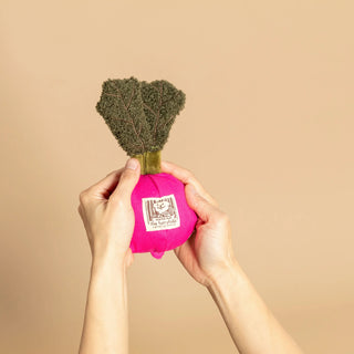 the furryfolks Radish Nosework Dog Toy - Henlo Pets