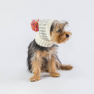 Alqo Wasi - Rainbow Alpaca Dog Snood - Henlo Pets