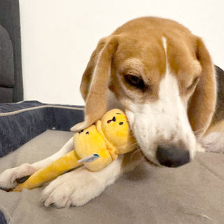 Woof² Siu Mai Brothers Soft Plush Dog Toy