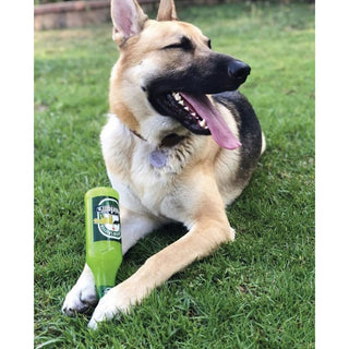 Tuffy Silly Squeaker Beer Bottle Heinie Sniffen Dog Toy | Henlo Pets