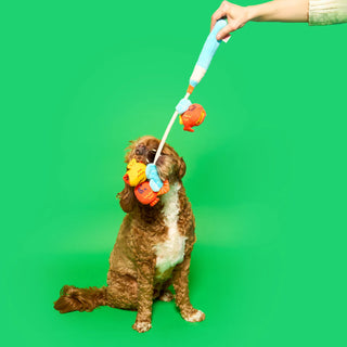the furryfolks Fishing Nose Work & Tug Toy - Henlo Pets