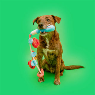 the furryfolks Fishing Nose Work & Tug Toy - Henlo Pets