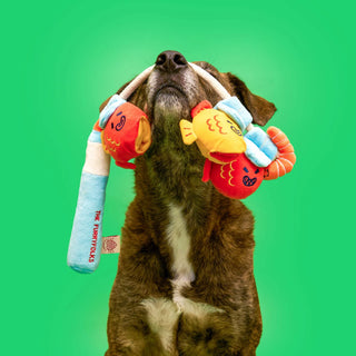 the furryfolks Fishing Nose Work & Tug Toy - Henlo Pets